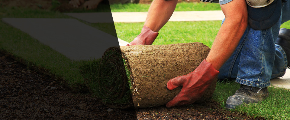 Opelousas Landscapers